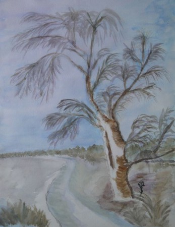 Birke im Winter 23cm x 30cm Aquarell auf Papier